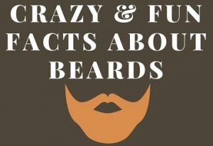 Beard-Facts2