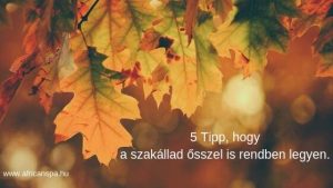 Öszi szakállápolás 5 tipp